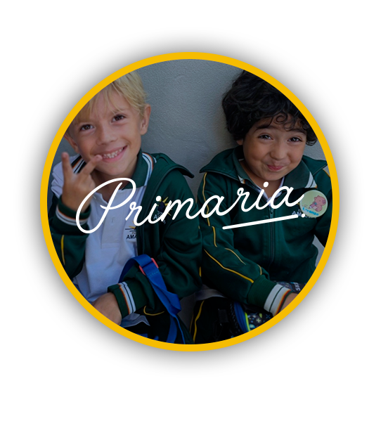 02-Primaria-circulo.png